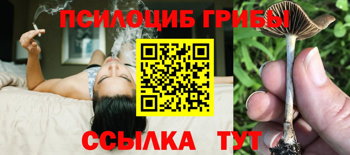 Псилоцибиновые грибы ЛСД  Псилоцибиновые грибы Psilocybine cubensis  Гулькевичи  Вход с VPN 